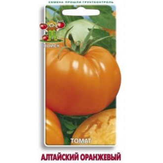 Томат Алтайский оранжевый Поиск