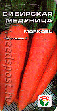 Морковь Сибирская медуница Сиб сад