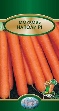 Морковь Наполи Поиск