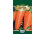 Морковь Канада Поиск