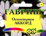 Остеоспермум Аккорд Гавриш