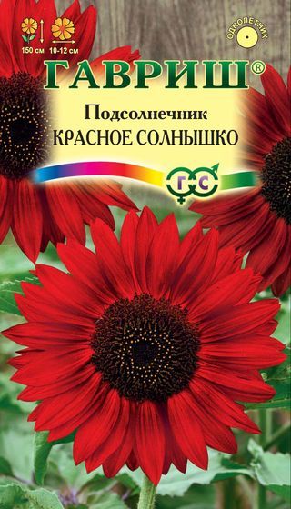 Подсолнечник Красно Солнышко Гавриш