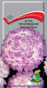 Астра Пионовидная Кварцевая башня Поиск